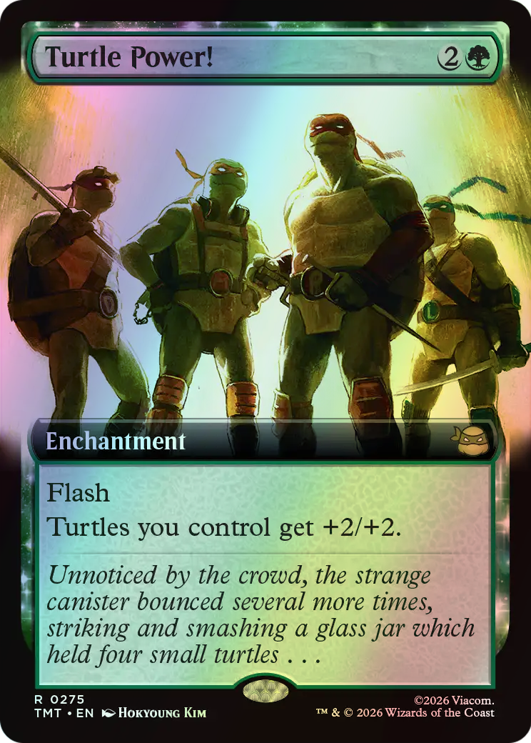 Turtle Power! (TMT) #275 [EN/F] s/o