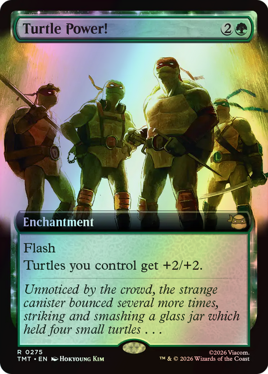 Turtle Power! (TMT) #275 [EN/F] s/o