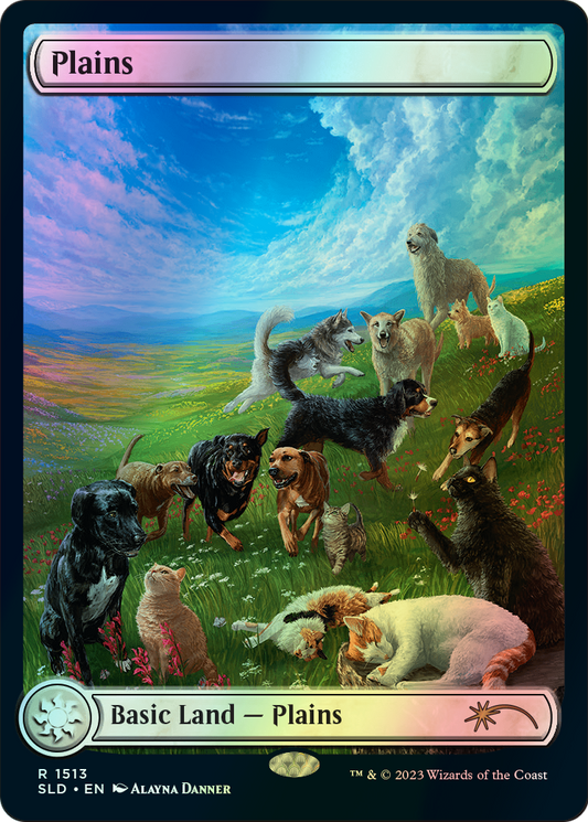 Plains (SLD) #1513 [EN/F]