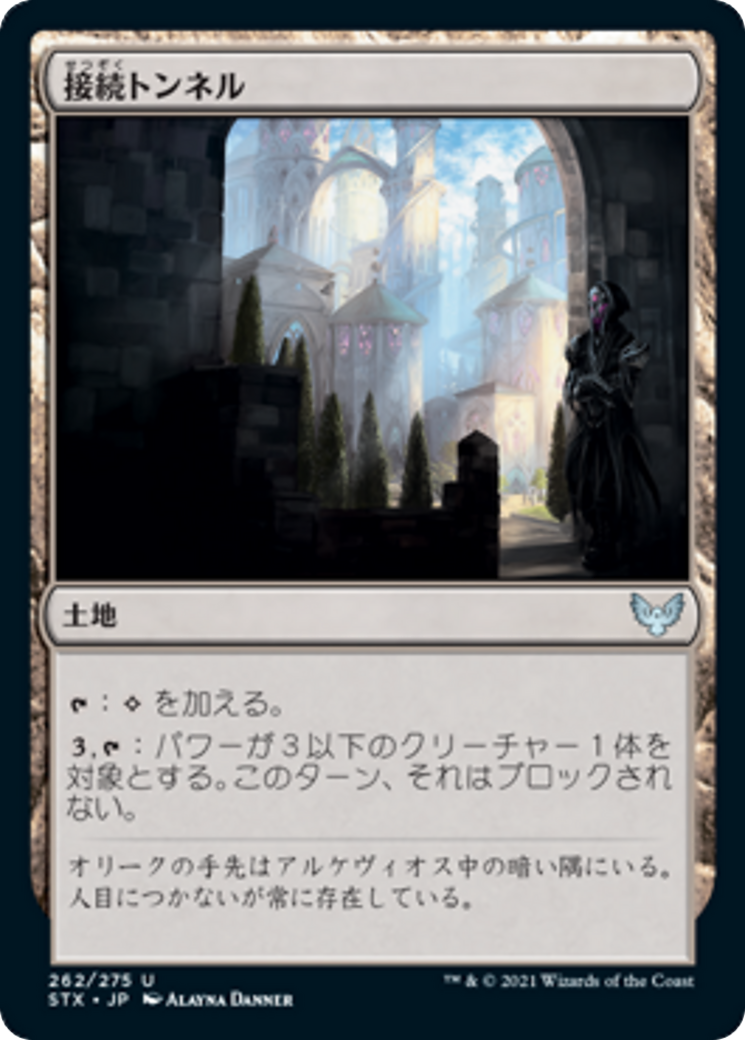 Access Tunnel (STX) #262 [JA/N] s/o