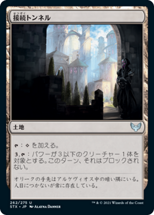 Access Tunnel (STX) #262 [JA/N] s/o