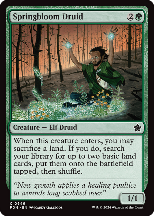 Springbloom Druid (FDN) #646 [EN/N] s/o