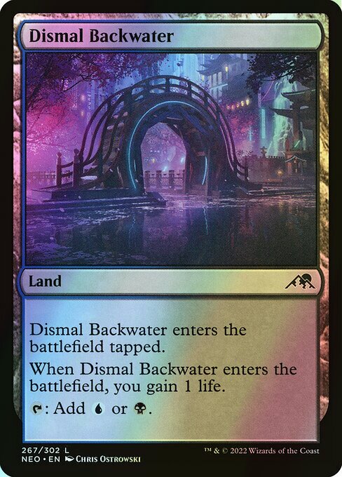 Dismal Backwater (NEO) #267 [EN/F]