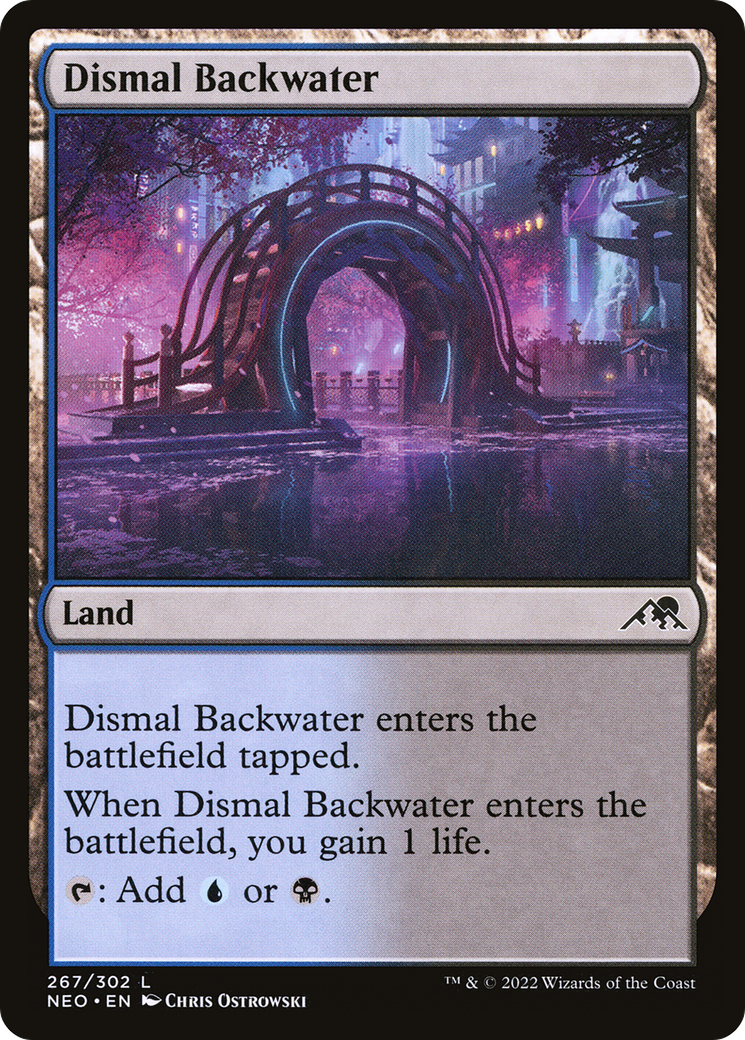 Dismal Backwater (NEO) #267 [EN/N] s/o