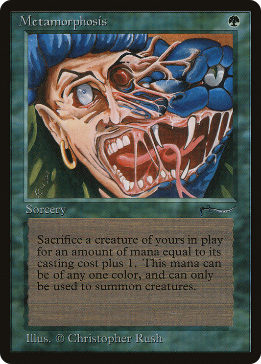 Metamorphosis (ARN) #51 [EN/N] s/o