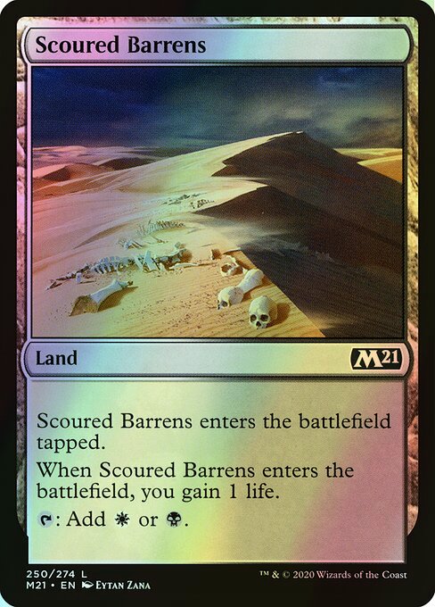 Scoured Barrens (M21) #250 [EN/F]